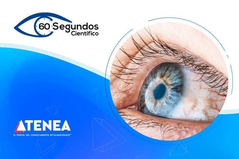 Oclusiones venosas retinianas y cuáles deben panfotocoagularse